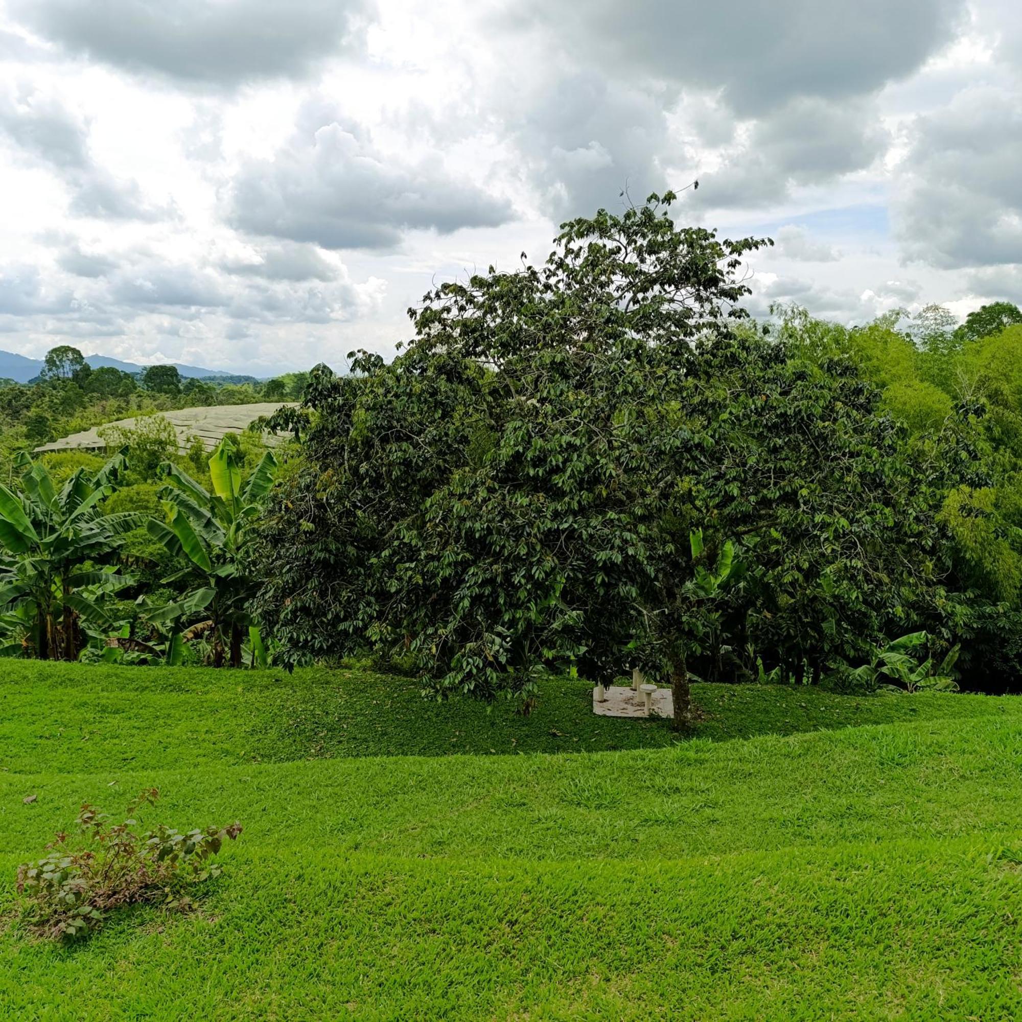 Hotel Campestre Los Mangos Quimbaya Exterior foto